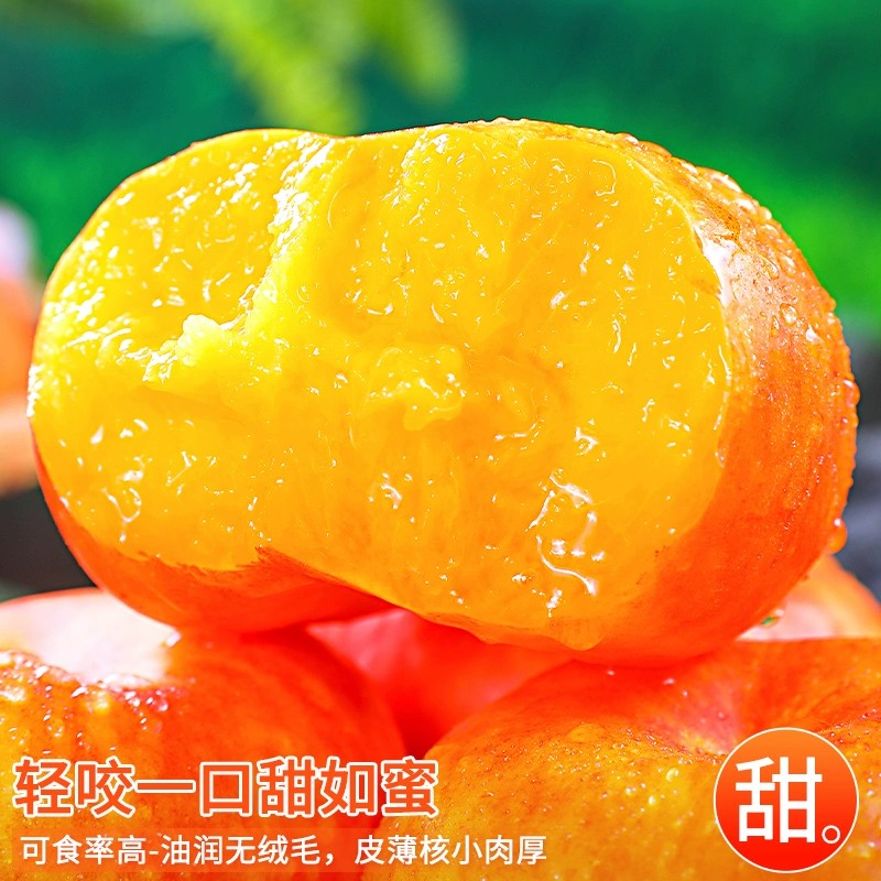 彩虹油蟠桃桃子黄金奶油扁甜蜜潘桃蒙阴新鲜水果当季